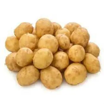 Potato (5)-9204258-74448.webp